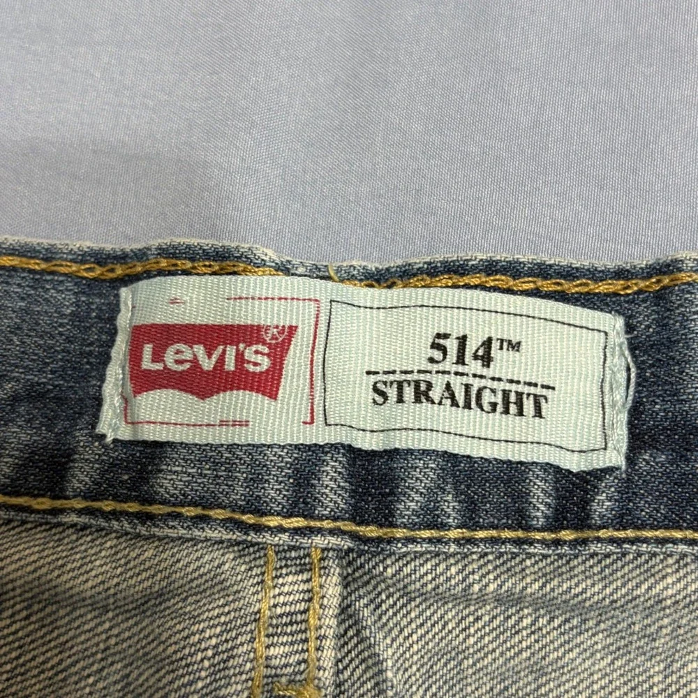Levis levi strauss